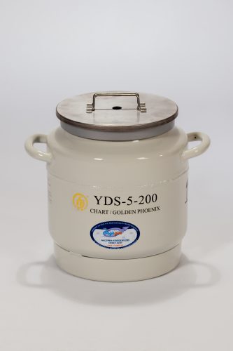 cryogen 4